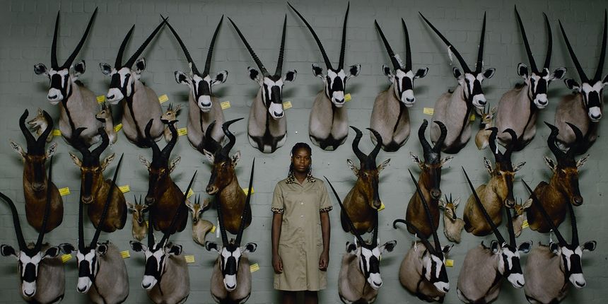 Dokumentarni film ”Safari” Dokumentarni film ”Safari”