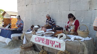 Dani vitezova vranskih, 19. srpnja 2014.