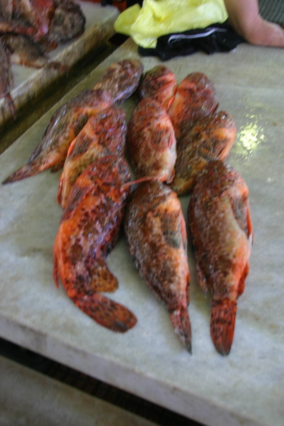 Image 1201837 (auto)