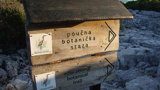 Manifestacija “Luka i igara” na vidikovcu Kamenjak. Foto: Gordana Šarić