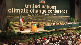 Image 1195795 (auto) Image 1195795 (auto)