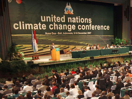 Image 1195795 (auto) Image 1195795 (auto)