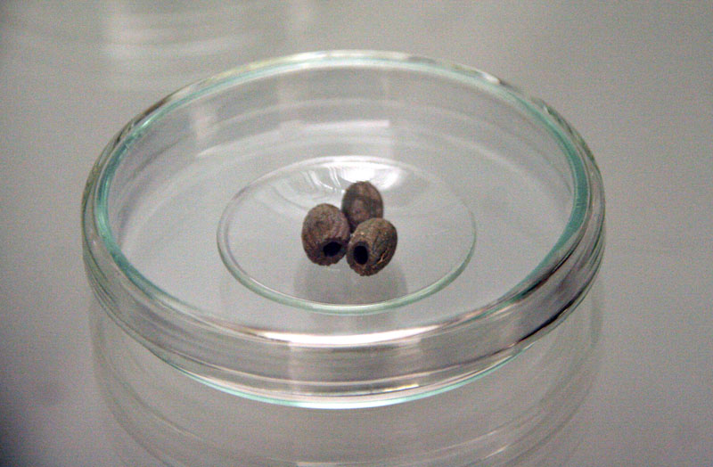 Izložba ‘Hrvatski Apoksiomen’ (foto: A. Gospić)