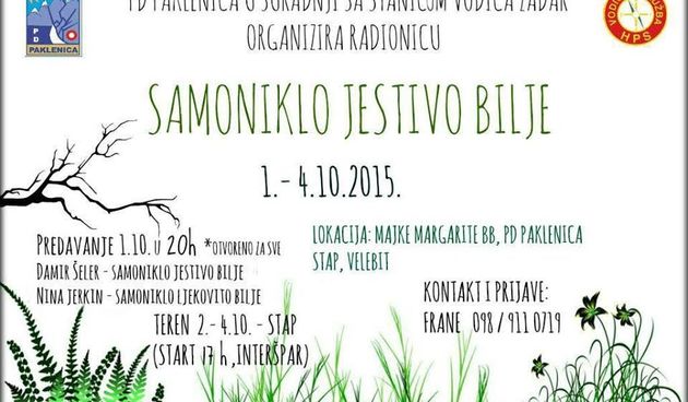 PD Paklenica poziva na radionicu “Samoniklo jestivo bilje”
