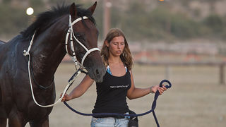 Polača: 14. Međunarodne konjičke utrke “Oluja 95”, Foto: Leo Banić Polača: 14. Međunarodne konjičke utrke “Oluja 95”, Foto: Leo Banić