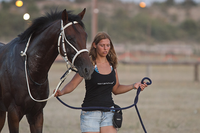 Polača: 14. Međunarodne konjičke utrke “Oluja 95”, Foto: Leo Banić Polača: 14. Međunarodne konjičke utrke “Oluja 95”, Foto: Leo Banić