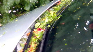 Pijavica s gradom poharala Dolaske Drage, Foto: Maria Dell’Orco Pijavica s gradom poharala Dolaske Drage, Foto: Maria Dell’Orco