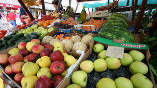 Image 1203805 (auto)