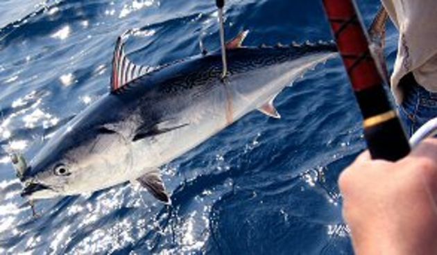 Udičarenje (Foto: efsa.hr)