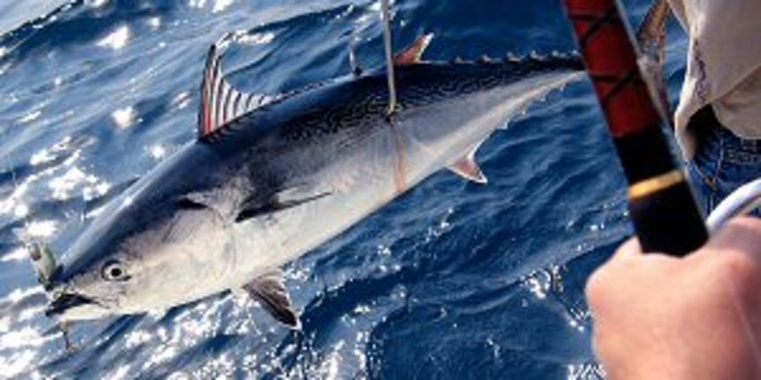 Udičarenje (Foto: efsa.hr) Udičarenje (Foto: efsa.hr)