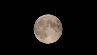 Potpuna pomr Potpuna pomr