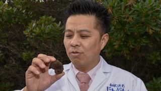 3. Tuna, Sushi & Wine Festival: traženje i priprema zadarskih tartufa 3. Tuna, Sushi & Wine Festival: traženje i priprema zadarskih tartufa