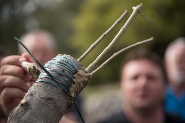 U Vrtovima lunjskih maslina održana 12. Lunjska maslinada. Foto: Vinko Pešić