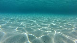 25.07.2013., Dugi otok, Sakarun – Uzduz i poprijeko Dugog otoka u zadarskom arhipelagu u ljetnim danima prepuno je turista, a najomiljenija plaza zasigurno je Sakarun, koja sa nalazi u uvali pokraj mjesta Veli Rat. Pjeskovita plaza sa tirkizno cistim mo