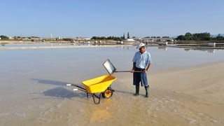 Nin: Prvi rođendan Muzeja soli