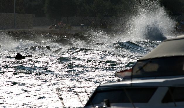 Image 1177861 (auto)