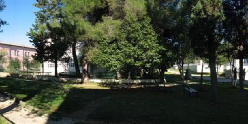 Psihijatrijska bolnica Ugljan Psihijatrijska bolnica Ugljan