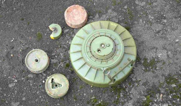 Image 1173451 (auto)