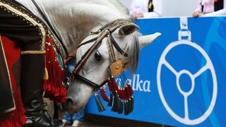 Održana je 301. Sinjska Alka, hrvatska viteška igra. Photo: Ivo Čagalj/PIXSELL Održana je 301. Sinjska Alka, hrvatska viteška igra. Photo: Ivo Čagalj/PIXSELL