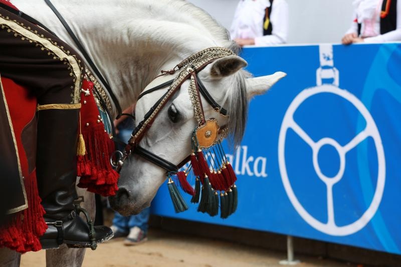 Održana je 301. Sinjska Alka, hrvatska viteška igra. Photo: Ivo Čagalj/PIXSELL Održana je 301. Sinjska Alka, hrvatska viteška igra. Photo: Ivo Čagalj/PIXSELL