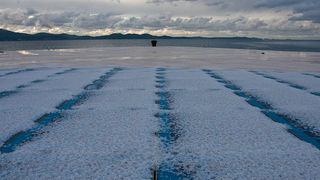 Pozdrav suncu prekriven ledenim pokrivacem 26. studenog 2010, Foto: Leo Banic