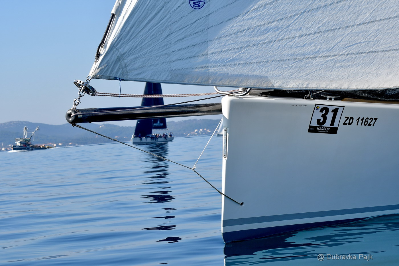 Sva lica “Zadarske koke” Sva lica “Zadarske koke”