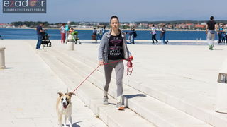 Đir po gradu 1. svibnja 2017. Đir po gradu 1. svibnja 2017.