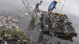 Image 1195801 (auto) Image 1195801 (auto)