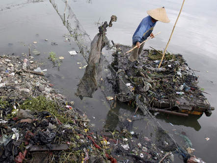 Image 1195801 (auto) Image 1195801 (auto)