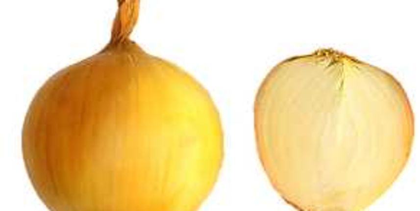 luk / kapula luk / kapula