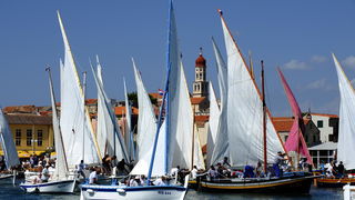 Betina, 150810.
U Betini na otoku Murteru danas je odrzana tradicionalna regata brodova na “latinskog idro ” pod nazivom “Regata za dusu i tilo”, na regati je sudjovalo preko gajeta, leuta i kaica pobjedili su domacini iz Betine.
Na slici start regate u b Betina, 150810.
U Betini na otoku Murteru danas je odrzana tradicionalna regata brodova na “latinskog idro ” pod nazivom “Regata za dusu i tilo”, na regati je sudjovalo preko gajeta, leuta i kaica pobjedili su domacini iz Betine.
Na slici start regate u b