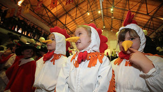 Karnevalić Radija 057 (foto:Saša Čuka)