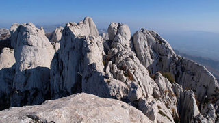 OLYMPUS DIGITAL CAMERA OLYMPUS DIGITAL CAMERA