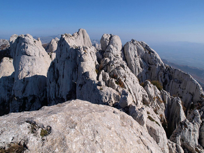 OLYMPUS DIGITAL CAMERA OLYMPUS DIGITAL CAMERA