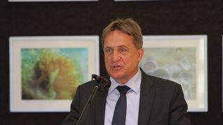 Image 378919 (auto) Image 378919 (auto)