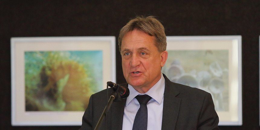 Image 378919 (auto) Image 378919 (auto)