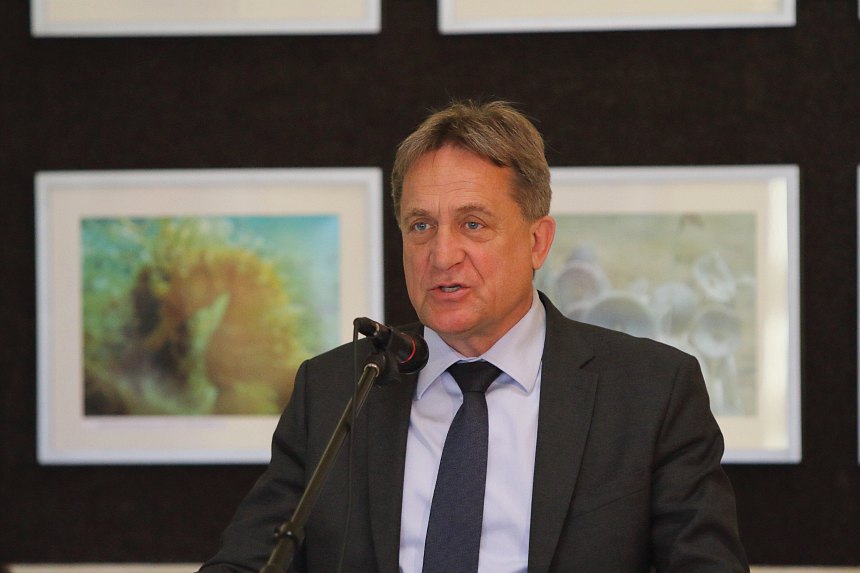 Image 378919 (auto) Image 378919 (auto)