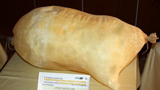 11. Izložba ovčjih i kozjih sireva