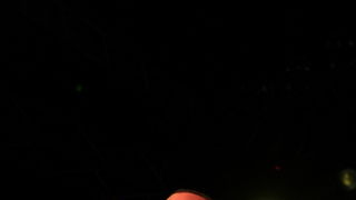 Biograd na Moru: Koncert ususret Porinu na kojem su nastupili Kim Verson, Neno Belan i Sexymotherfuckers, Foto: Martin Brkljaca