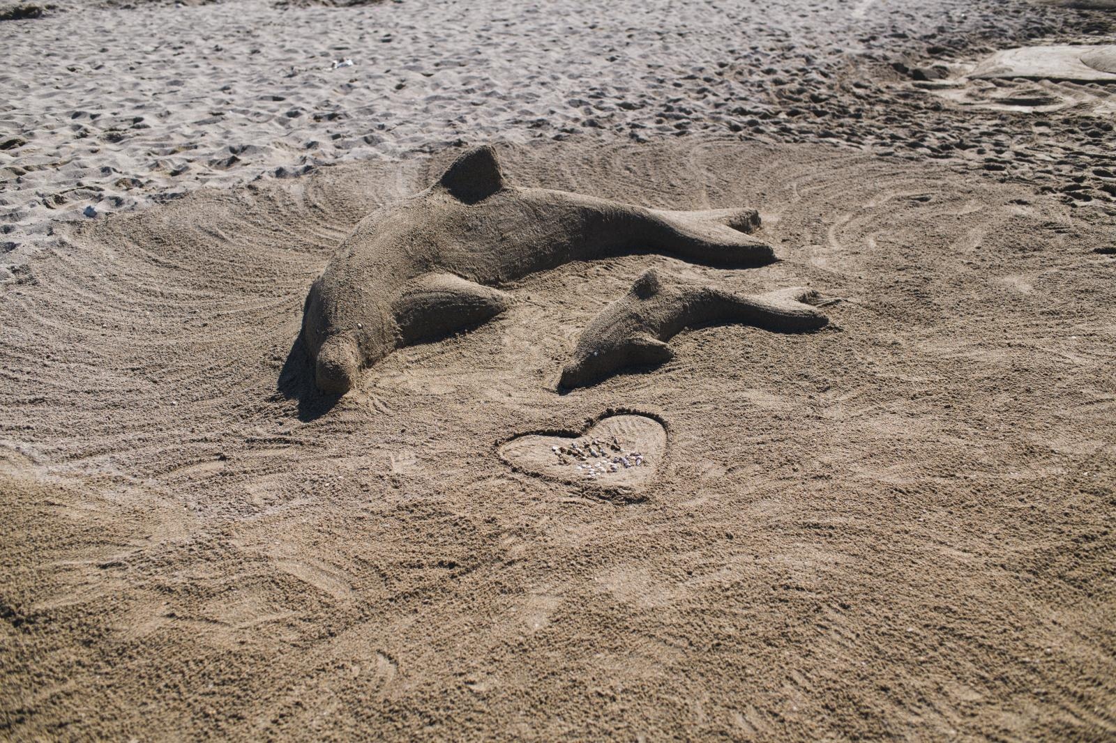 5. Festival pijeska na Kraljičinoj plaži u Ninu 5. Festival pijeska na Kraljičinoj plaži u Ninu