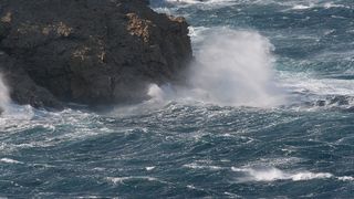 Image 1177843 (auto)