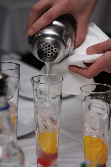 1. Zupanijski junior barmen kup u hotelu Kolovare, Foto: Ivan Stipcevic
