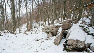 Đir do vrha Zečjak na sjevernom Velebitu, Foto: Leo Banić