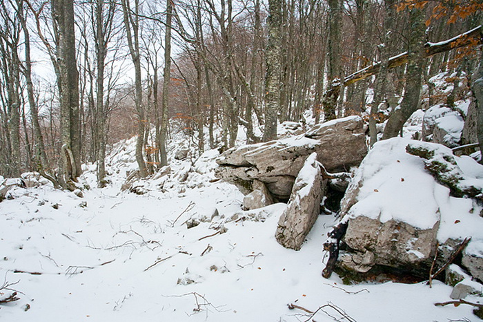 Đir do vrha Zečjak na sjevernom Velebitu, Foto: Leo Banić