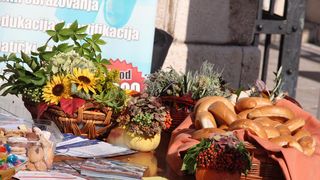 Sajam obrazovanja održan je na Narodnom trgu u organizaciji Pučkog otvorenog učilišta Erudio na kojem su se predstavili i partneri Poljoprivredna škola Stanko Ožanić, CISOK Zadar, Autoškola Zadar, POU Libar, POU Algebra, POU Zadar i dr. foto: Iva Perinči Sajam obrazovanja održan je na Narodnom trgu u organizaciji Pučkog otvorenog učilišta Erudio na kojem su se predstavili i partneri Poljoprivredna škola Stanko Ožanić, CISOK Zadar, Autoškola Zadar, POU Libar, POU Algebra, POU Zadar i dr. foto: Iva Perinči