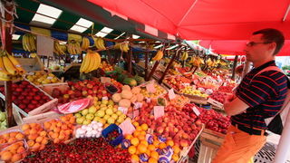 Image 1203813 (auto)