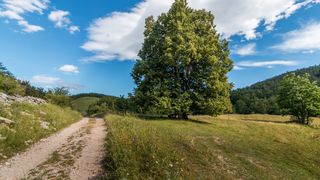 Simpatična galerija koja prikazuje životinjsku farmu na najvišem južnom vrhu Velebita – Crnopcu Simpatična galerija koja prikazuje životinjsku farmu na najvišem južnom vrhu Velebita – Crnopcu