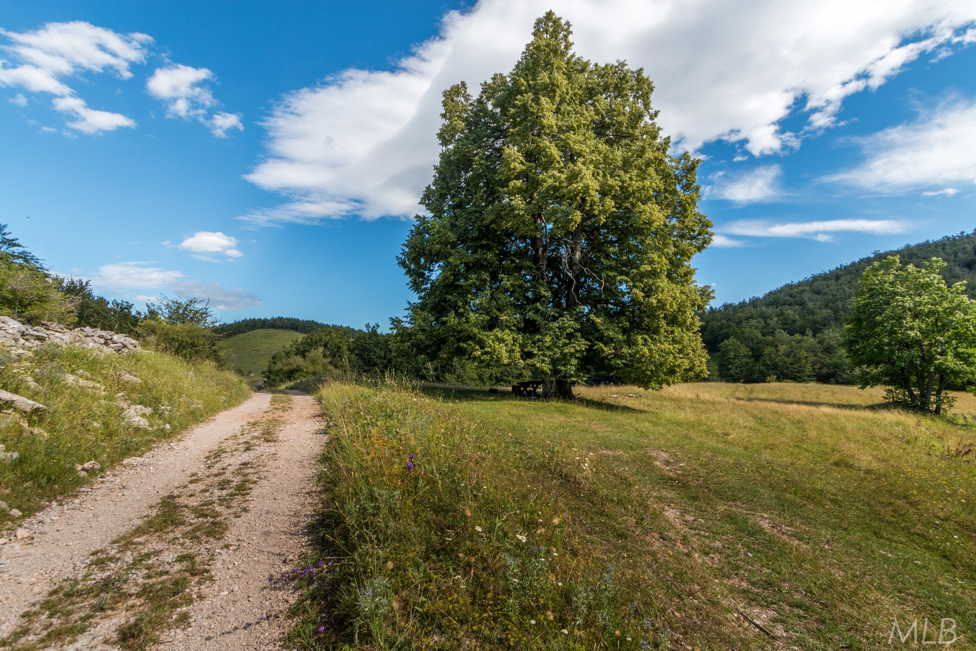 Simpatična galerija koja prikazuje životinjsku farmu na najvišem južnom vrhu Velebita – Crnopcu Simpatična galerija koja prikazuje životinjsku farmu na najvišem južnom vrhu Velebita – Crnopcu