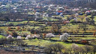 Rajski vrtovi su pozurili