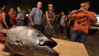 Zadar: Posljednja večer tradicionalne fešte Noć punog miseca, Photo: Dino Stanin/PIXSELL